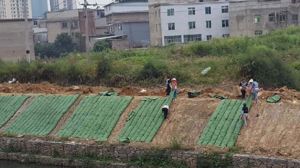 生态袋护坡施工方案